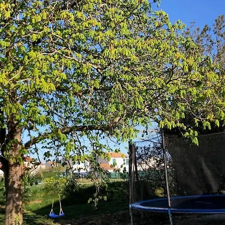 Maison Charentaise Avec Grande Piscine * Saint-Vivien (Charente-Maritime)